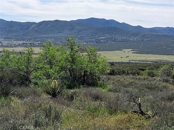 3rd image of 3 Fletcher Rd #3