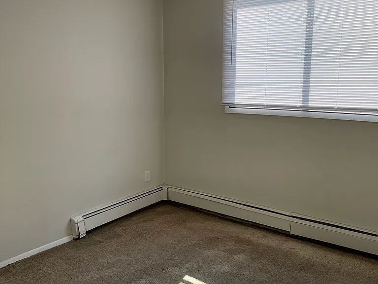 923 E College St #2S — Photo 11