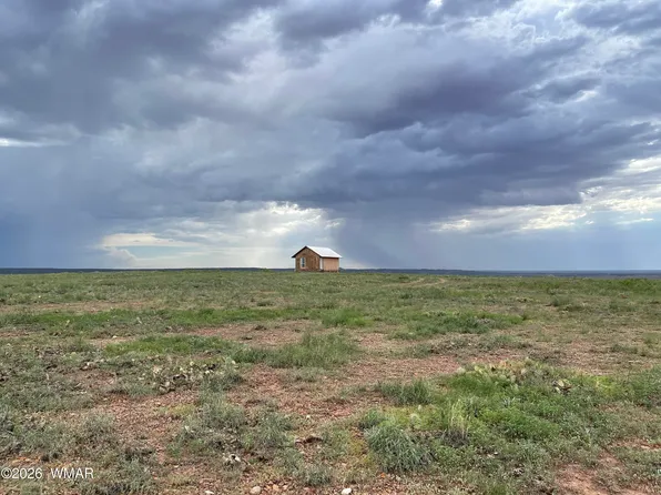 1292 County Rd, Concho, AZ 85924