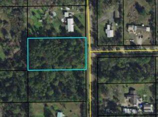 2224 Forest Park St, Bunnell, FL 32110