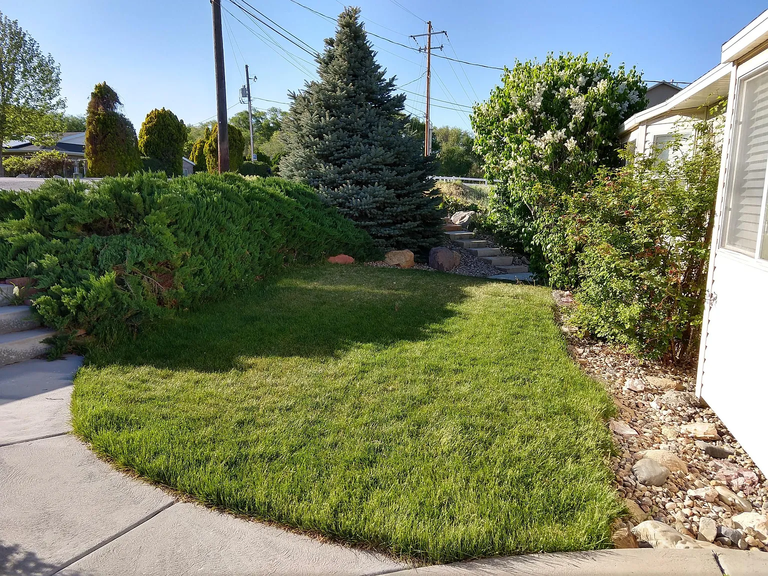 3 bed, 1700 sqft, $2,200 — Photo 3