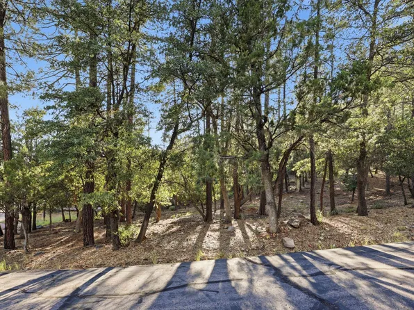 98 Trails End Dr, Pine, AZ 85544