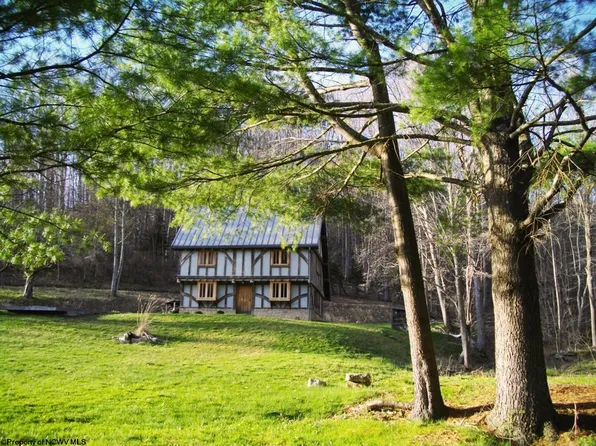 1303 Pheasant Mountain Rd, Kerens, WV 26276