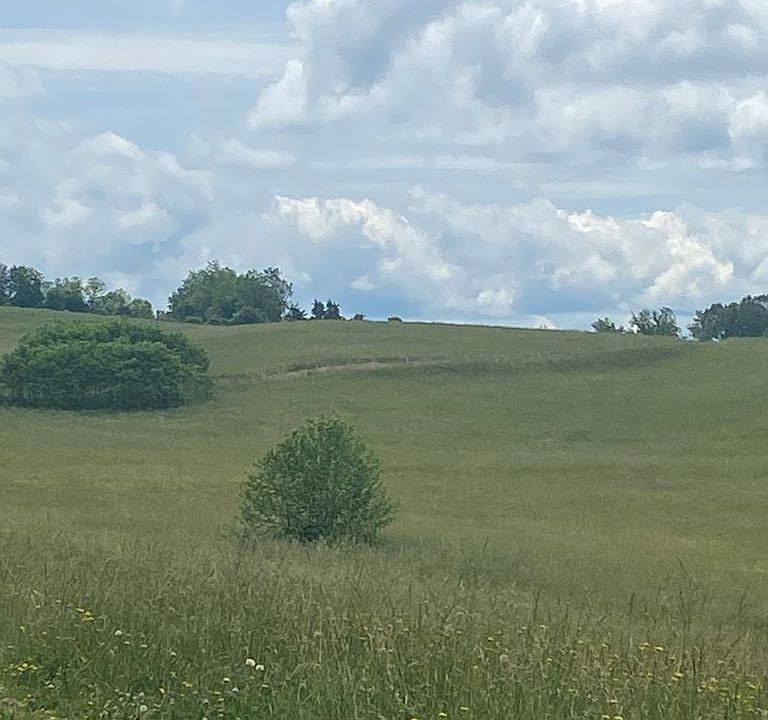 1st image of Tbd Orleans Dr
