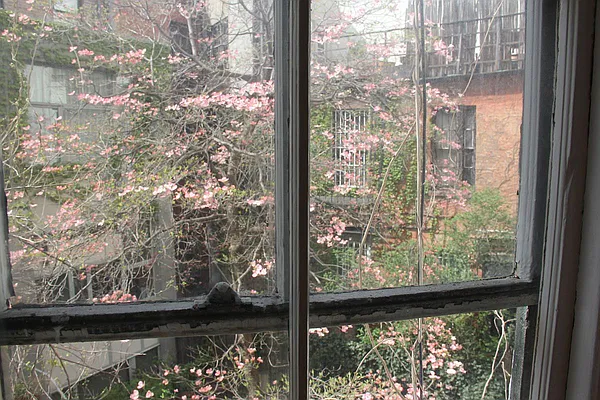 Rented by New York Manhattan Real Estate Incorporated | media 69