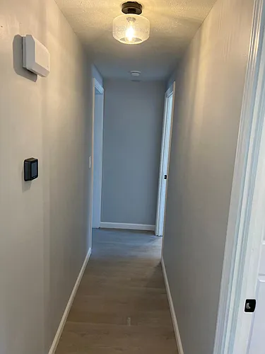 31 Forest Ln Photo 1