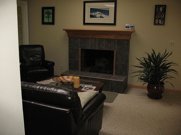 living room/wood burning fireplace