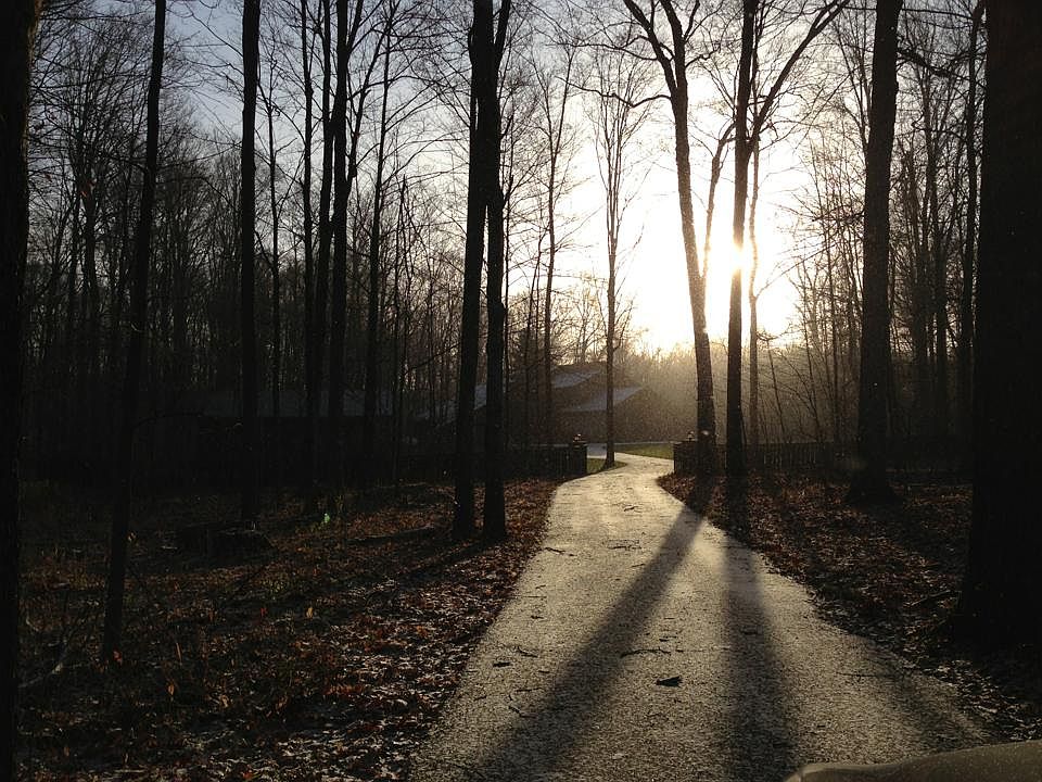 secluded driveway