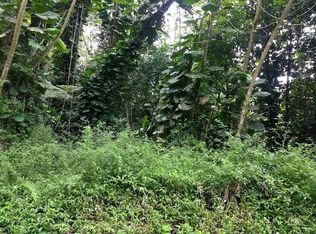 Plumeria Rd LOT 396, Pahoa, HI 96778
