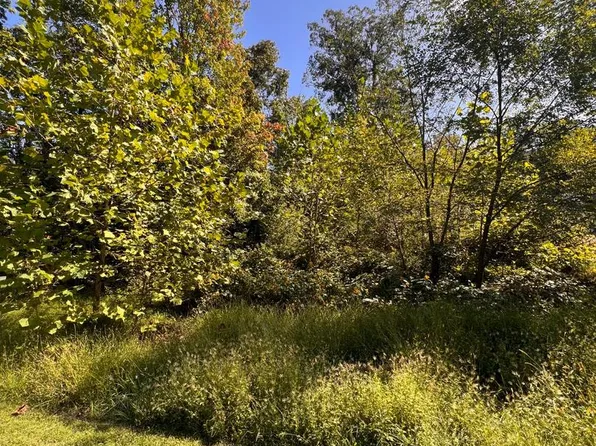 28 Cedar Ln, Woodstock, VA 22664