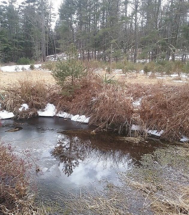 983 Plank Road Sec A, Forestburgh, NY 12777 MLS 3482642 Zillow