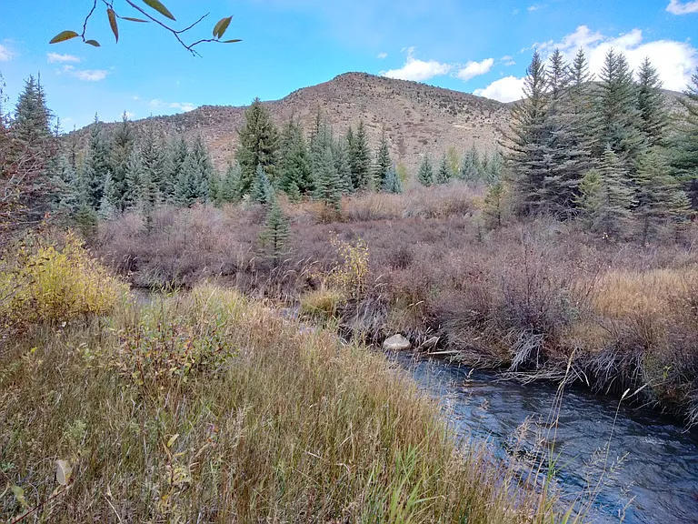 1532 Snowmass Creek Rd — Photo 8
