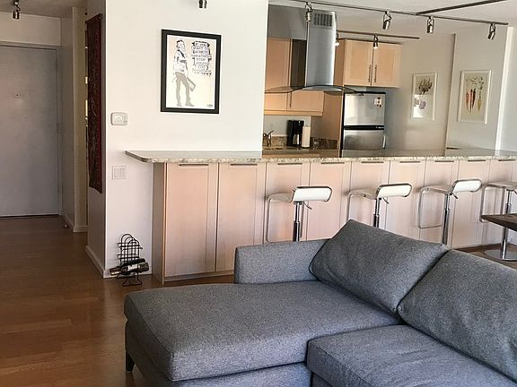 2nd image of 1115 S Plymouth Ct APT 504