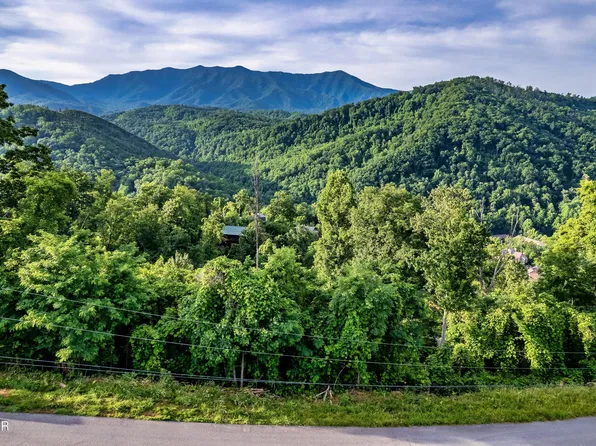 LOT 2 Ellis Ogle Rd, Gatlinburg, TN 37738