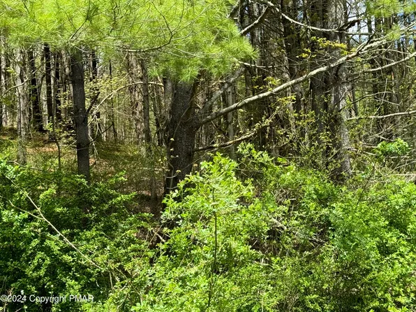 Haney Rd, Kunkletown, PA 18058