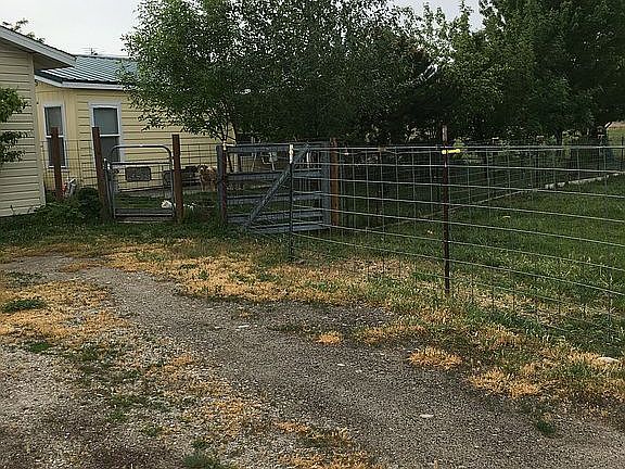 Driveway - at both houses