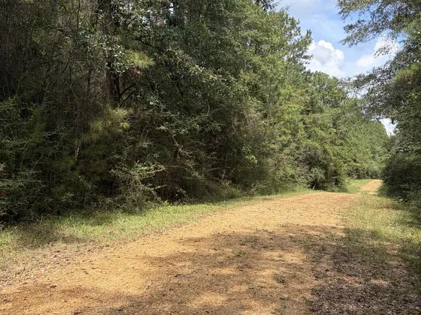 Nhn Pinecroft Dr, Poplarville, MS 39470
