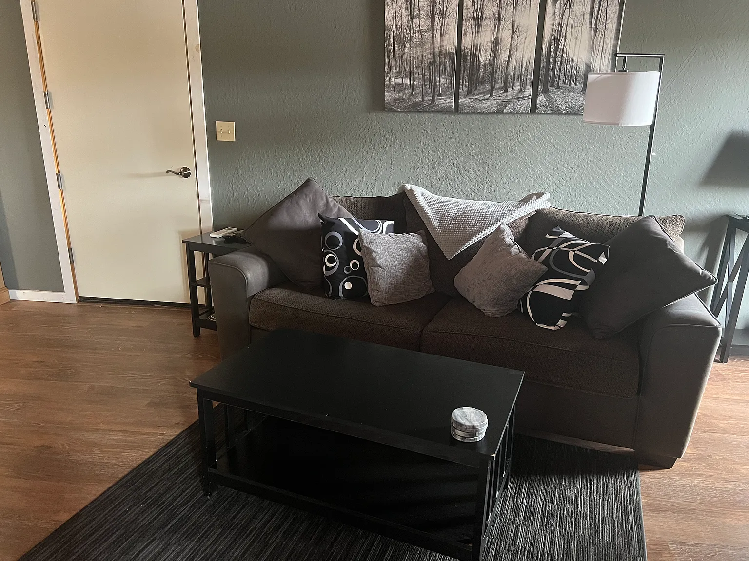 1 bed, 650 sqft, $2,000 — Photo 3