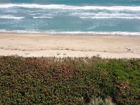 5th image of 7420 S Ocean Dr APT 515