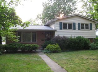 305 Spring St, Saline, MI 48176