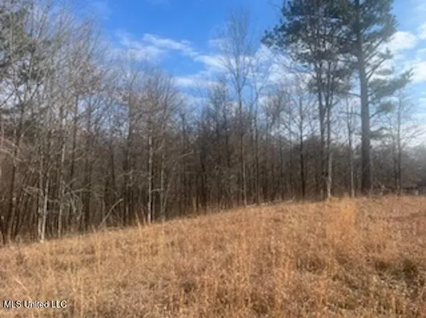 0 S Red Banks Rd, Byhalia, MS 38611