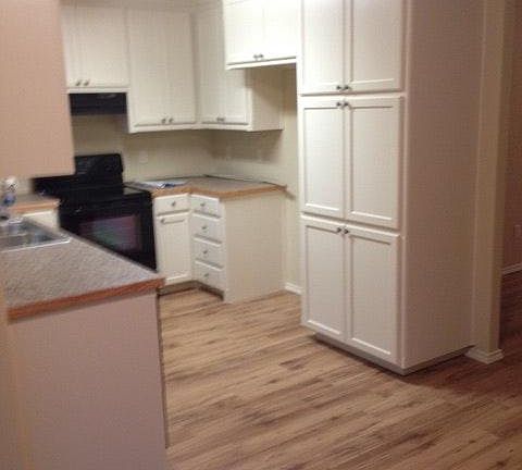 Kitchen/pantry overview