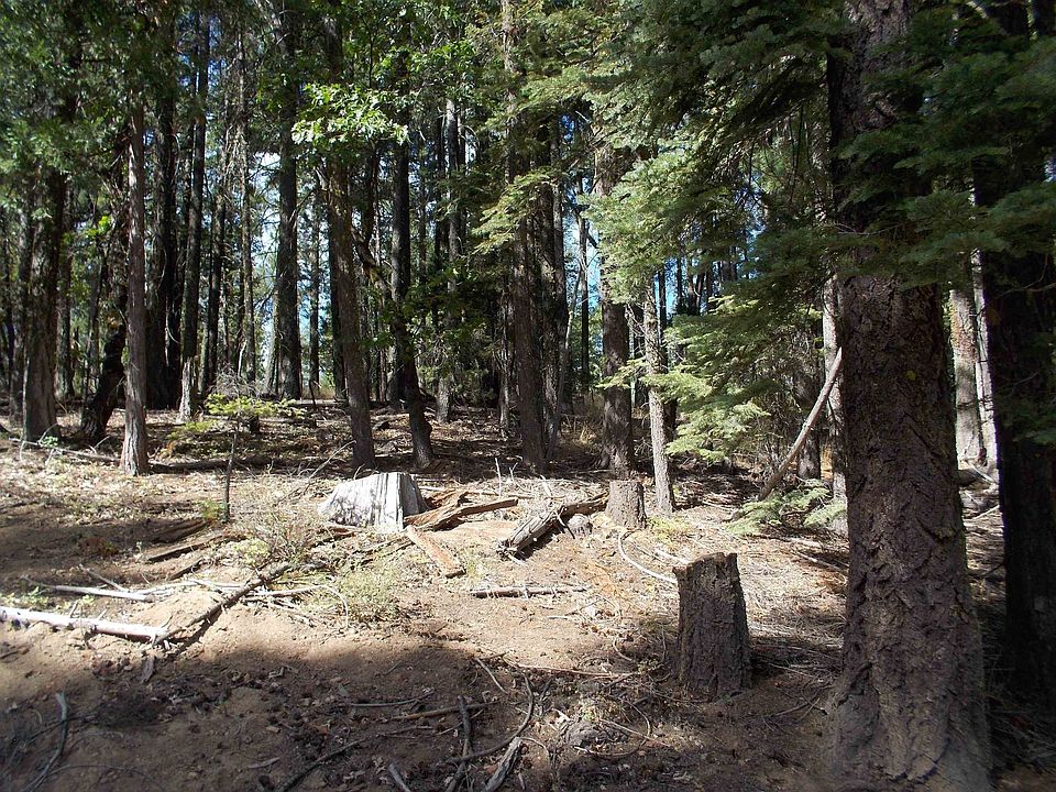 2nd image of 2480 Fern Rdg