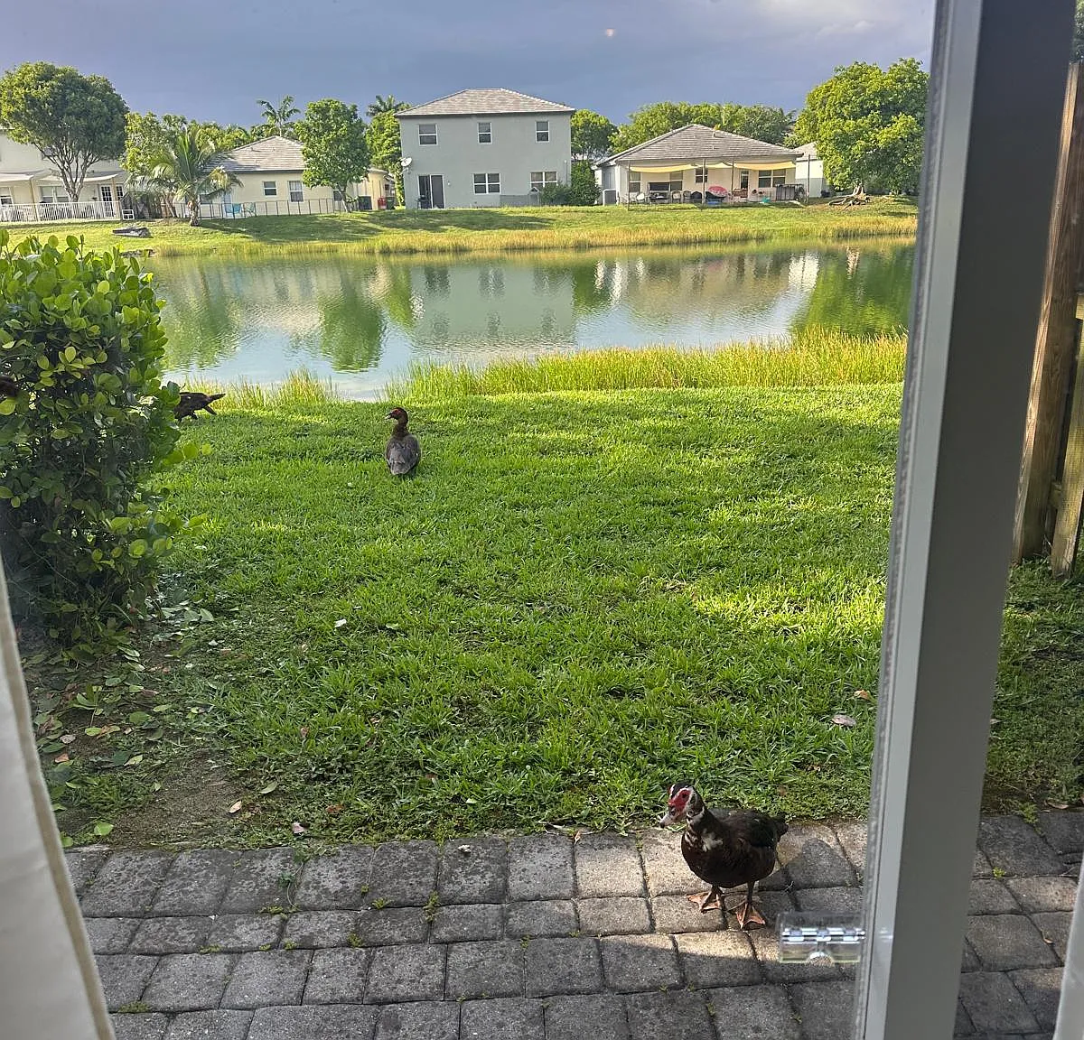 2 bed, 2.5 bath, 1290 sqft, $1,900 — Photo 1