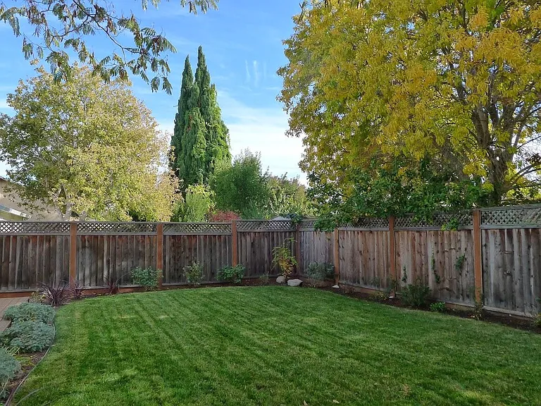 Cypress Ave — Photo 6