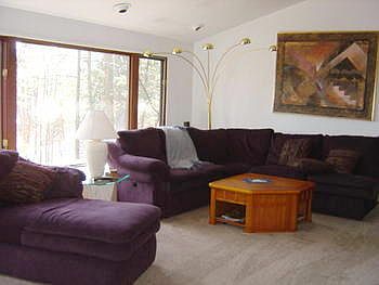 Vaulted ceilings and a wall of windows to the back yard make the generously sized 21' x 16' living r