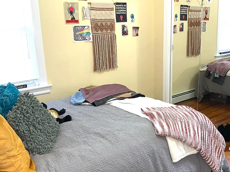 83 America St #2S — Photo 9