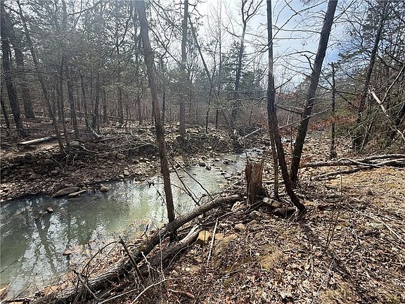 3rd image of Pea Ridge Rd