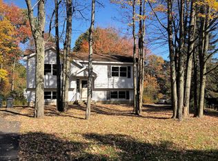 437 Manor View Ave, Mount Pocono, PA 18344