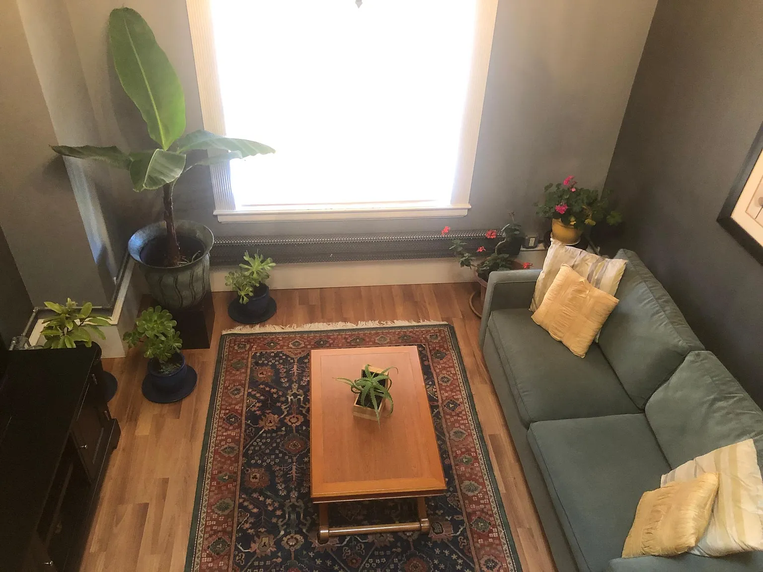 1 bed, 425 sqft, $2,745 — Photo 2