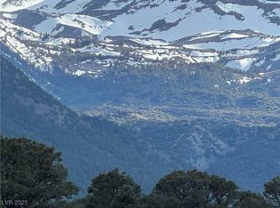 325 Davis Meadow Trl, Dyer, NV 89010