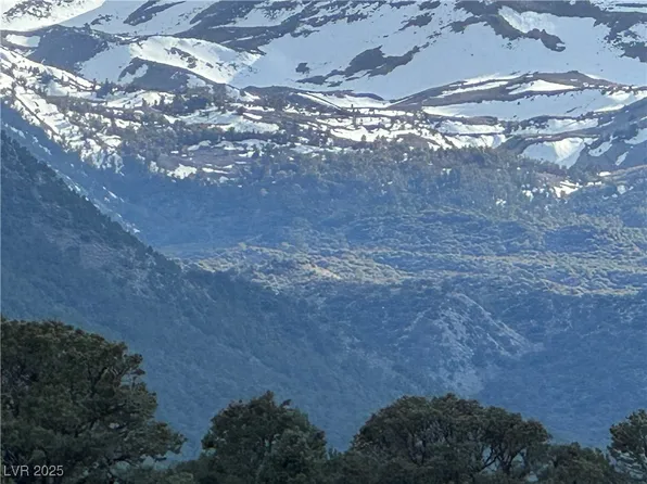 325 Davis Meadow Trl, Dyer, NV 89010