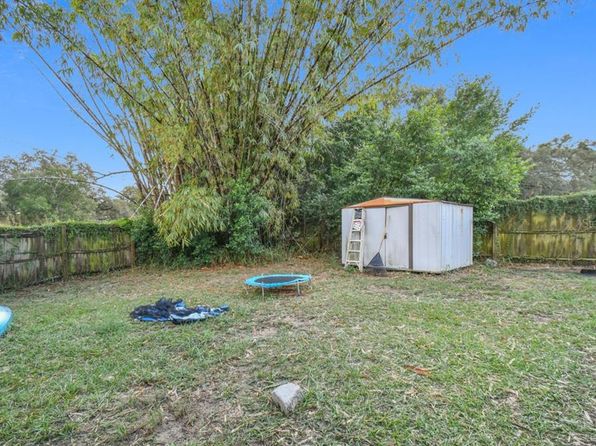 tampa-florida-82051962 picture