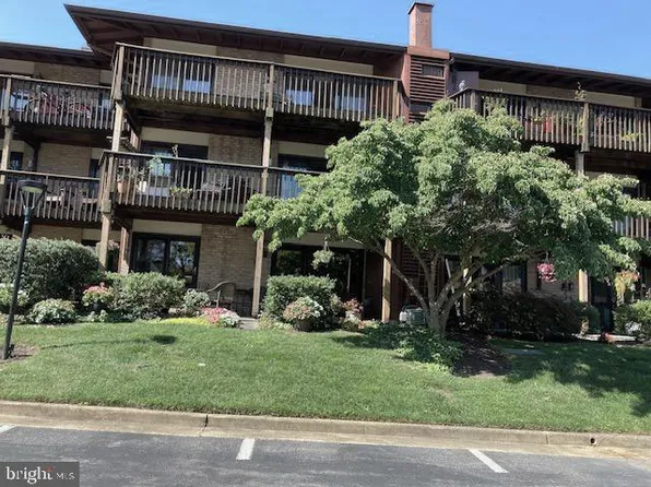 763 Fairview Ave APT F, Annapolis, MD 21403