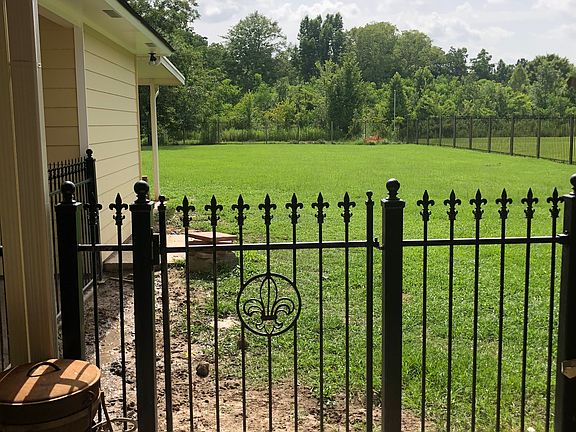 Back yard