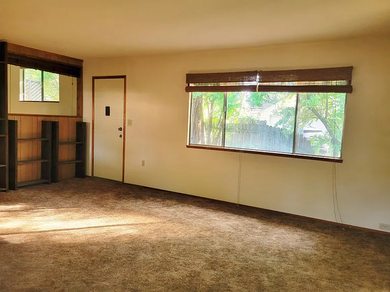 Living room - adundance of natural light