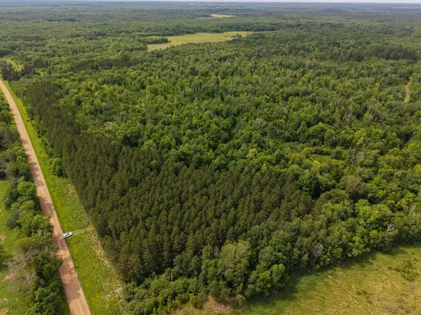 80 Acres Pike Bay Loop Rd NW, Cass Lake, MN 56633
