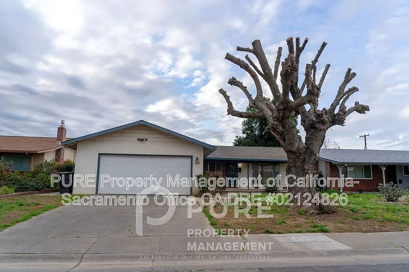 9152 Cecile Way photo 1
