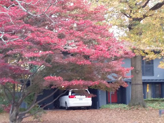3rd image of 1615 Wrightson Dr