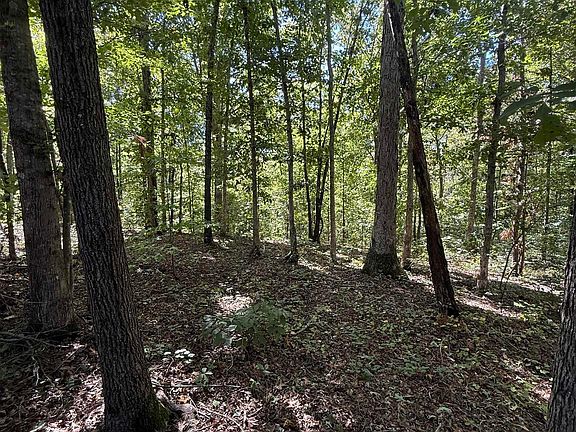 3rd image of 746 Breazeale Rd