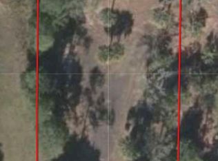 84 SW 273rd Ave, Steinhatchee, FL 32359