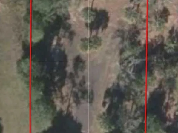 84 SW 273rd Ave, Steinhatchee, FL 32359