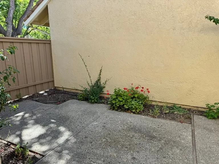 1446 Candelero Dr — Photo 22