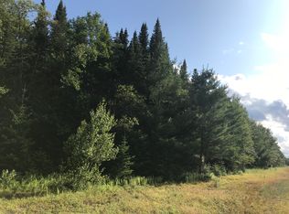 152 Air Port Loop, Old Forge, NY 13420