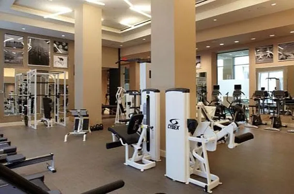 Rented by BLU Real Estate | media 25