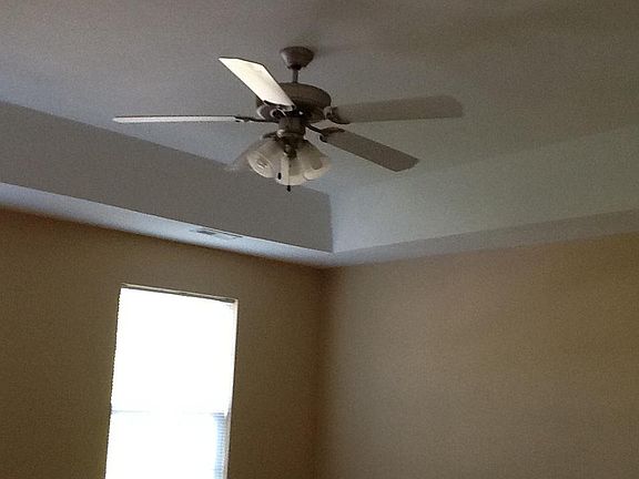 Trey ceiling in master bedroom